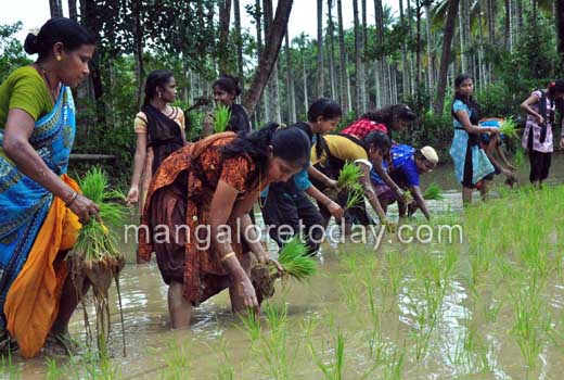 Students get a feel of farm activity; take part in Neji Naati at Konaje
